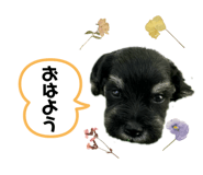 771473657