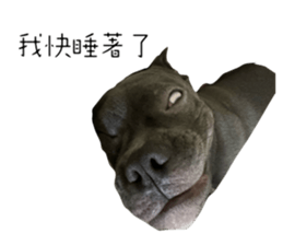 771490797