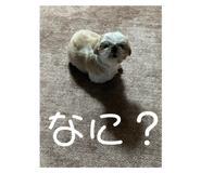 771498628