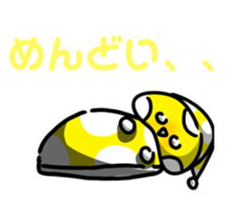 771500567