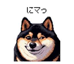 771502457