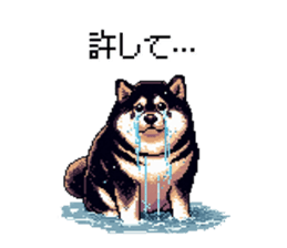 771502462