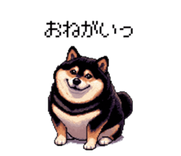 771502495