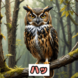 771526692