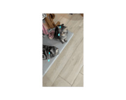 771551693