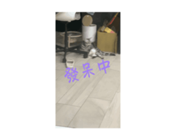771551694