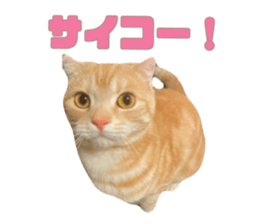 771578695