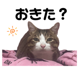 771578970