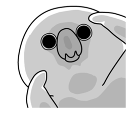 7715907
