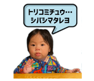 771611908