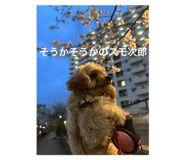 771621160
