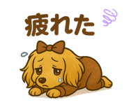 771634066