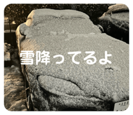 771653118