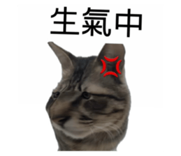 771682295