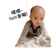 77168880