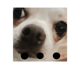 771717580