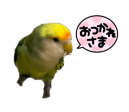 771720135