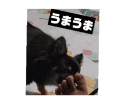 771738718