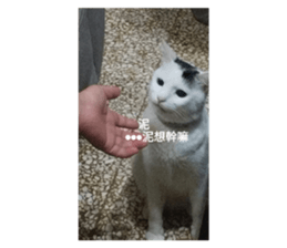 771753285