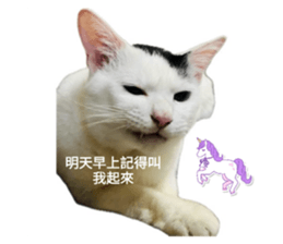 771753304