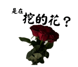 771753744