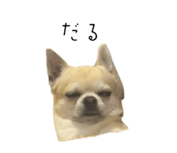 771773698