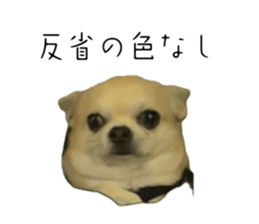 771773700