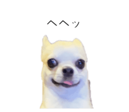 771773704