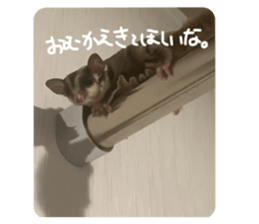 771774186