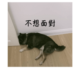 771777290