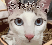 771786174