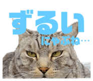 771788179