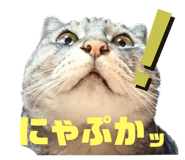 771788183