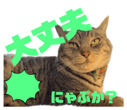 771788185