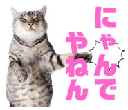 771788189