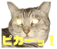 771788191