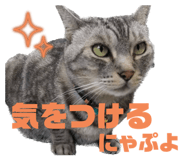 771788199