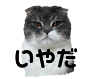 771792791