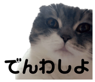 771792799