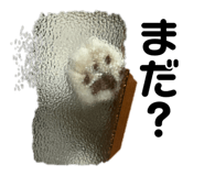 771792804