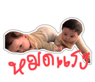 771799817