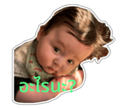 771799818
