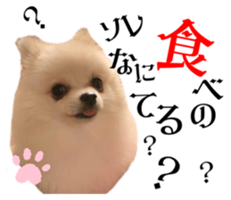 771846343
