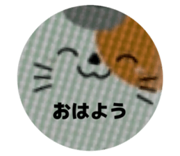 771847577