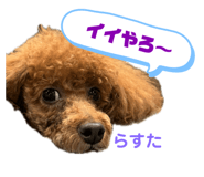 771858569