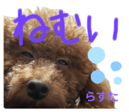 771858573