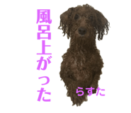 771858578