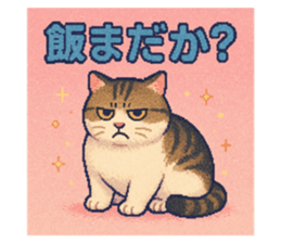 771884506