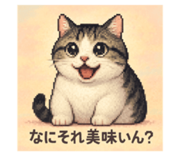 771884516
