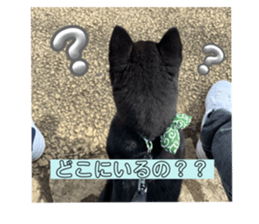 771884765